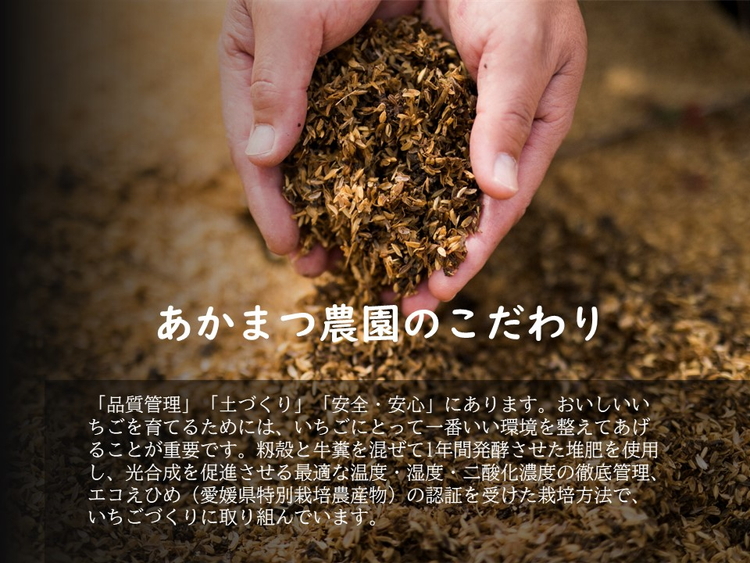 【2026年春収穫分】【先行受付】【食べ比べ】 いちご4パック ｜ レッドパール 紅い雫 紅ほっぺ かおり野 イチゴ 苺 フルーツ あかまつ農園 ※2026年2月中旬～3月中旬頃に順次発送予定