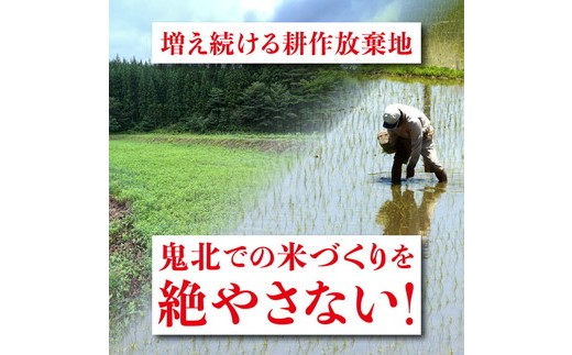 【2ヵ月定期便】【令和8年産新米】コシヒカリ 計10㎏（5kg×2回） ｜ ご飯 白米 お米 5kg 10kg 精米済み 先行予約 ※2026年10月下旬～12月下旬頃に順次発送予定 ※離島への配送不可