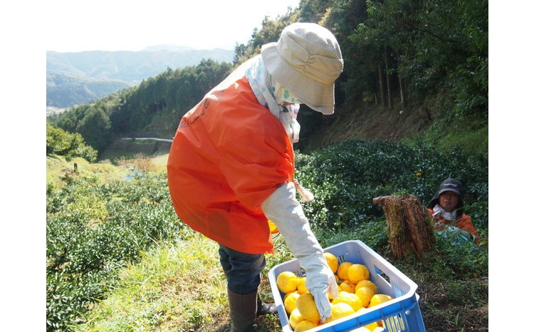 おり髪 ヘアーミスト（ゆず）1本 | いい香り ブランド メンズ プロテクト ヘアミスト ※離島への配送不可