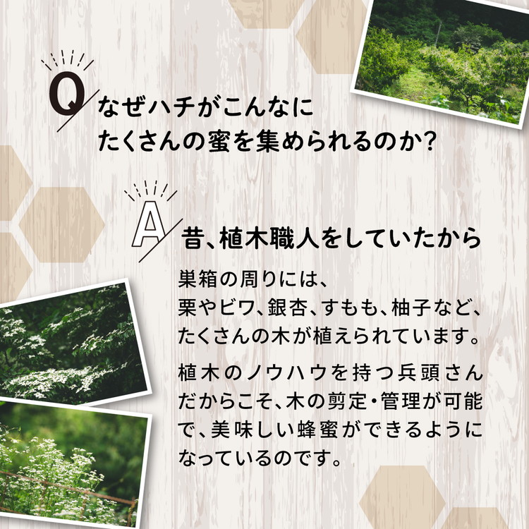 兵頭さん家の国産はちみつ 2瓶（計480g 計360cc） ｜ 国産 百花蜜 蜂蜜 ハチミツ 深山ミツバチ 研究25年 日本ミツバチ ※離島への配送不可