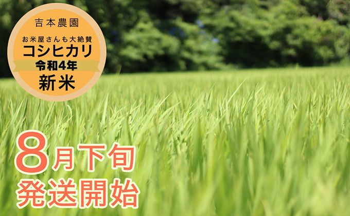 【コシヒカリ5kg】お米屋さんも大絶賛の新米！8月下旬より発送開始♪