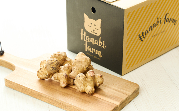 はなきファームの『スーパーフード"キクイモ"2kg』