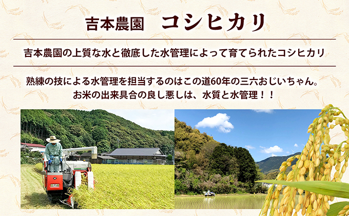 3ヶ月連続定期便【コシヒカリ5kg】お米屋さんも大絶賛の新米！