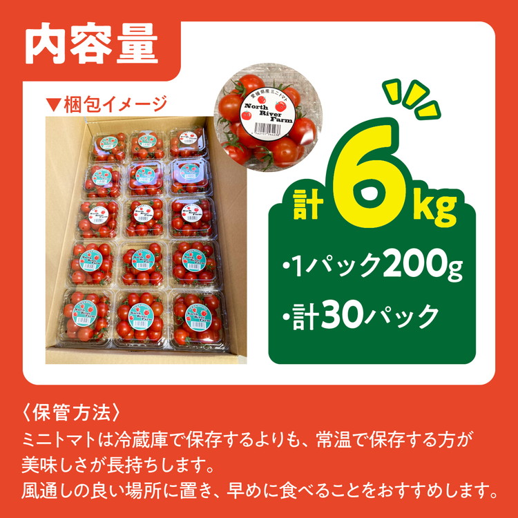 【市場出荷サイズ！】渡邊さんちのミニトマト 約6kg（30パック） | 愛媛県 鬼北町 株式会社North River マリネ 湯むき パスタ スープ おつまみ 11月 ベジタブル 果物 トマト 野菜ランキング ※離島への配送不可 ※2025年11月上旬頃より順次発送予定