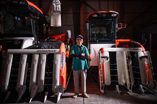 【おにぎり専門店御用達！】藤城さん家のミルキークイーン10kg【令和7年産】 ｜ ご飯 白米 お米 令和7年 定期便 令和7年産 10kg 精米済み 愛媛県鬼北町　※2025年9月下旬頃より順次発送予定