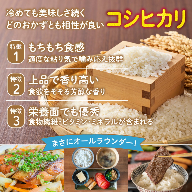 谷口さん家のコシヒカリ 5kg | ご飯 白米 お米 5kg 令和7年産 精米済み 愛媛県鬼北町 ※離島への配送不可