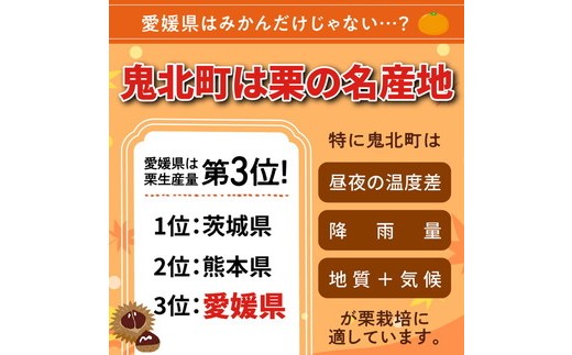 【鬼の栗拾い】鬼北町産くり 約3kg ｜ 大粒 生栗 和栗 国産栗 地域限定 丹波栗 くり 栗 栗ご飯 生栗 果物 フルーツ 先行予約 数量限定 ※離島への配送不可 ※2025年9月中旬～10月上旬頃に順次発送予定