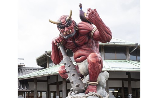 ゆずのす（柚子100％果汁）500ml×6本 | ゆず 果汁 柚子 原液 愛媛県鬼北町 いのすや