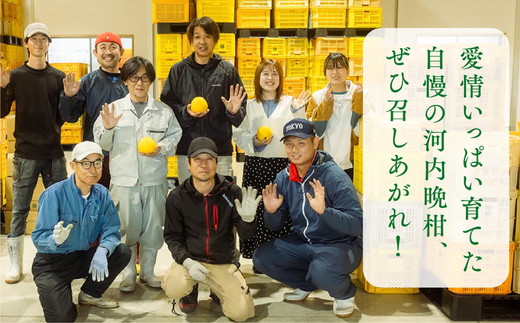 訳あり 河内晩柑5kg（家庭用） ＜柑橘 希少 果物 国産 フルーツ みかん 蜜柑 訳あり 家庭用 和製 グレープフルーツ ブランド 愛媛 果実 ビタミン ＞ ※2026年4月上旬～8月上旬頃に順次発送予定