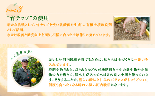 【先行予約】河内晩柑３回お届け定期便／家庭用愛南ゴールド 5.5kg×3回＜柑橘 希少 果物 国産 フルーツ みかん 蜜柑 定期便 家庭用 和製 グレープフルーツ ブランド 果実 ビタミン 愛媛県 鬼北町 ＞ ※2026年4月上旬～8月上旬頃に順次発送予定