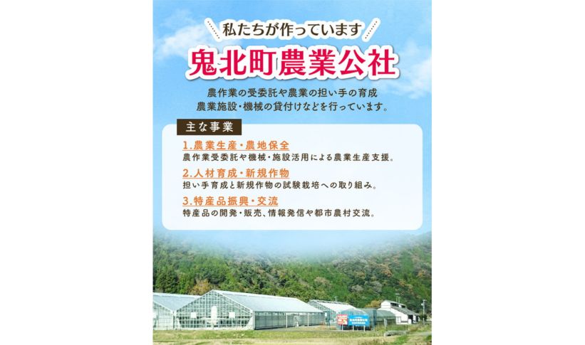 菌床しいたけ 900g（2L～3L）24個 ｜ 肉厚 収穫直後 新鮮 旨味たっぷり 菌床栽培 国産 きのこ キノコ 野菜 料理 食品 産地直送 自宅用 愛媛県鬼北町　※離島への配送不可 ※2026年7月下旬頃までに順次発送予定