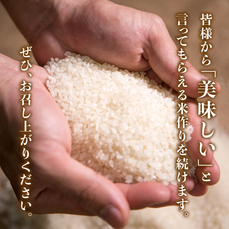 【R7年産新米】愛媛県産 コシヒカリ 5kg ｜ ご飯 白米 お米 令和7年産 5kg 10kg 20kg 精米済み ※2025年10月上旬～12月下旬頃に順次発送予定 ※離島への配送不可