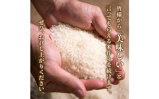 【2ヵ月定期便】【令和8年産新米】コシヒカリ 計10㎏（5kg×2回） ｜ ご飯 白米 お米 5kg 10kg 精米済み 先行予約 ※2026年10月下旬～12月下旬頃に順次発送予定 ※離島への配送不可