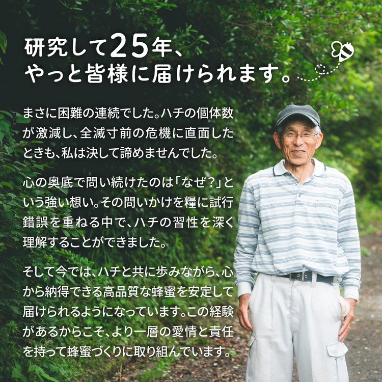 兵頭さん家の国産はちみつ 2瓶（計480g 計360cc） ｜ 国産 百花蜜 蜂蜜 ハチミツ 深山ミツバチ 研究25年 日本ミツバチ ※離島への配送不可
