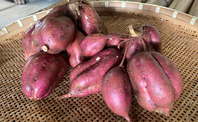 [干し芋1.2kg]お母さん手作りのひがしやま：紅はるか×人参芋セット