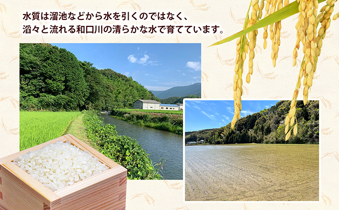 3ヶ月連続定期便【コシヒカリ5kg】お米屋さんも大絶賛の新米！