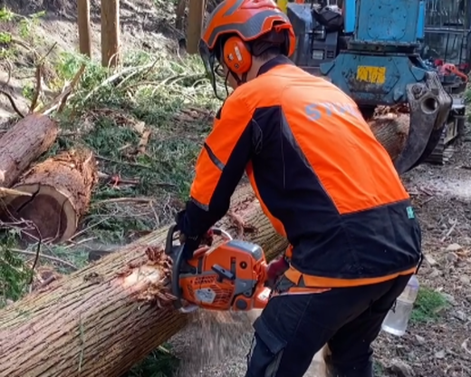 鬼の炭花～おにのすみか～樫の木炭　切炭3kg　＜薪 ストーブ アウトドア キャンプ ピザ ボイラー 自然 火 炎 燃料 焚火 暖炉 窯焼き  焚火 キャンプファイヤー 愛媛県 鬼北町>