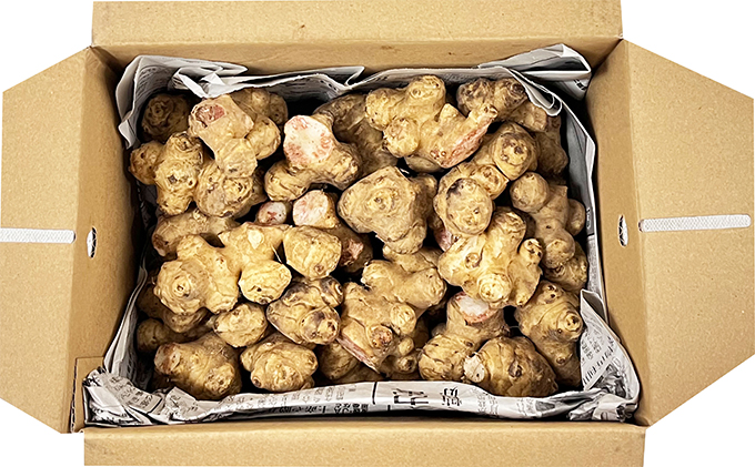 はなきファームの『スーパーフード"キクイモ"2kg』