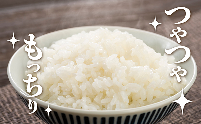 3ヶ月連続定期便【コシヒカリ5kg】お米屋さんも大絶賛の新米！