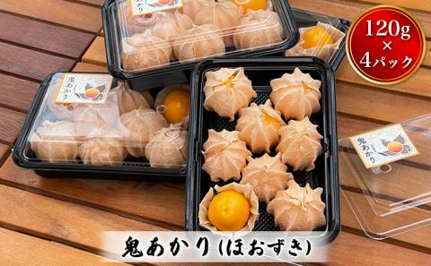 鬼あかり（ほおずき）120g×4パック ｜ 鬼灯 ホウズキ 特産品 ジャム フルーツ 愛媛県 鬼北町 ※2025年4月上旬～5月上旬頃に順次発送予定