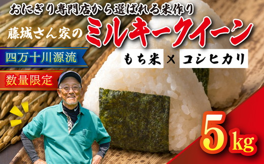 【おにぎり専門店御用達！】藤城さん家のミルキークイーン5kg【令和7年産】 ｜ ご飯 白米 お米 5kg 令和7年 定期便 令和7年産 精米済み 愛媛県鬼北町　※2025年9月下旬頃より順次発送予定