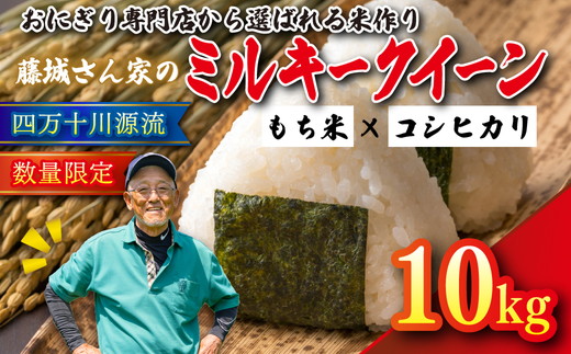【おにぎり専門店御用達！】藤城さん家のミルキークイーン10kg【令和7年産】 ｜ ご飯 白米 お米 令和7年 定期便 令和7年産 10kg 精米済み 愛媛県鬼北町　※2025年9月下旬頃より順次発送予定