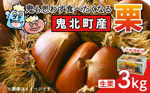 【鬼の栗拾い】鬼北町産くり 約3kg ｜ 大粒 生栗 和栗 国産栗 地域限定 丹波栗 くり 栗 栗ご飯 生栗 果物 フルーツ 先行予約 数量限定 ※離島への配送不可 ※2025年9月中旬～10月上旬頃に順次発送予定