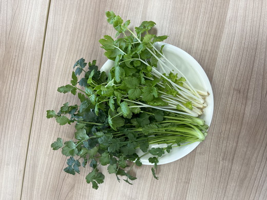 LED水耕栽培 香草野菜（パクチー/セロリー）250g＜野菜 やさい パクチー セロリ 香草野菜 美容 オーガニック アジア野菜  愛媛県 鬼北町＞