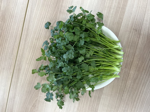 LED水耕栽培 香味野菜（パクチー）250g＜野菜 やさい パクチー 香草野菜 美容 オーガニック アジア野菜  愛媛県 鬼北町＞