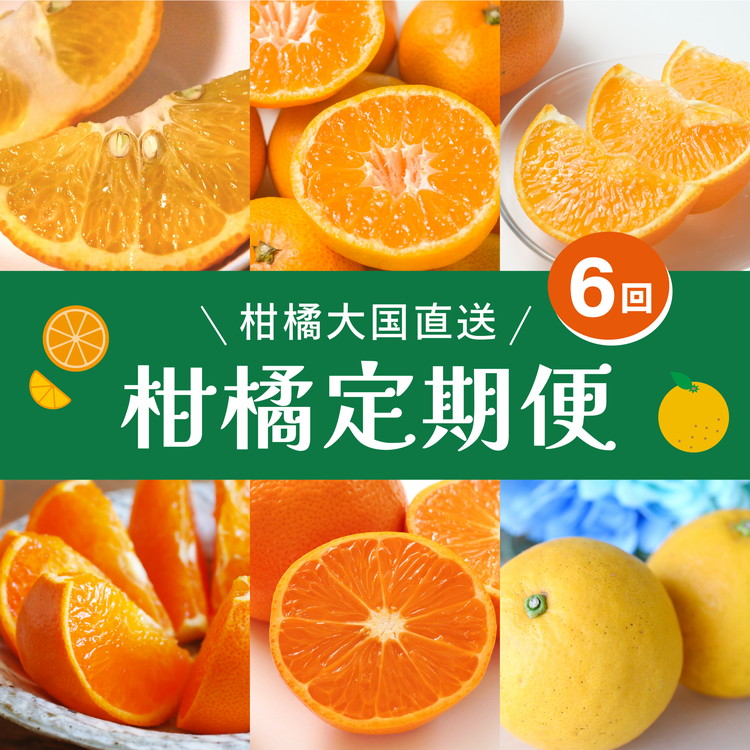 【定期便】2025年11月発送開始　えひめかんきつ定期便　全6回＜みかん 柑橘 フルーツ 定期便 国産 愛媛県 ＞　※離島への配送不可　※2025年11月下旬～2026年4月下旬頃に順次発送予定