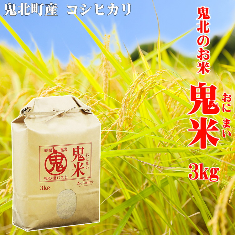 【定期便】鬼北のお米「鬼米（おにまい）」3kg×1袋 3ヶ月連続お届け＜米 コメ お米 こしひかり  定期便 ブランド米 精米 愛媛県 鬼北町＞