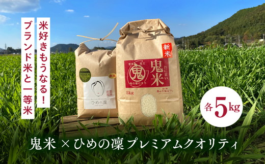 【R7年産】鬼米×ひめの凛（プレミアムクオリティ） 各5kg （計10kg） ｜ お米 お米不足 お米品薄 おいしい お米 事業者支援 送料無料 白米 精米 国産 限定 ごはん ご飯 白飯 ゴハン 愛媛県産 鬼北町 ※2025年11月上旬より順次発送予定