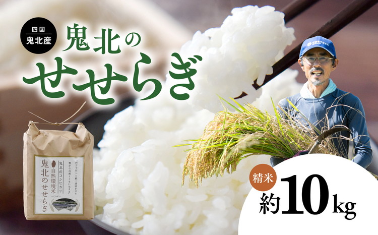 【R7年産】【自然環境米】鬼北のせせらぎ（コシヒカリ）5kg×2 ｜ お米 お米不足 お米品薄 おいしい お米 事業者支援 送料無料 白米 精米 国産 限定 ごはん ご飯 白飯 ゴハン 愛媛県産 鬼北町 ※2025年9月下旬頃より順次発送予定