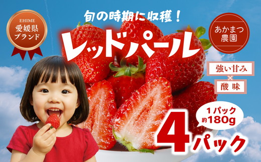 【2026年春収穫分】【先行予約】レッドパール 4パック（約720g） | いちご イチゴ 苺 大福 ジャム タルト アイス ケーキ ギフト あかまつ農園 ※離島への配送不可 ※2026年2月中旬頃より順次発送予定