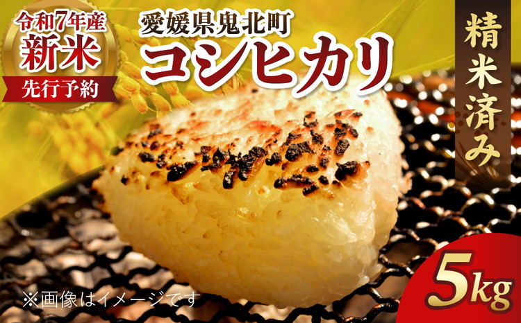 【R7年産新米】愛媛県産 コシヒカリ 5kg ｜ ご飯 白米 お米 令和7年産 5kg 10kg 20kg 精米済み ※2025年10月上旬～12月下旬頃に順次発送予定 ※離島への配送不可