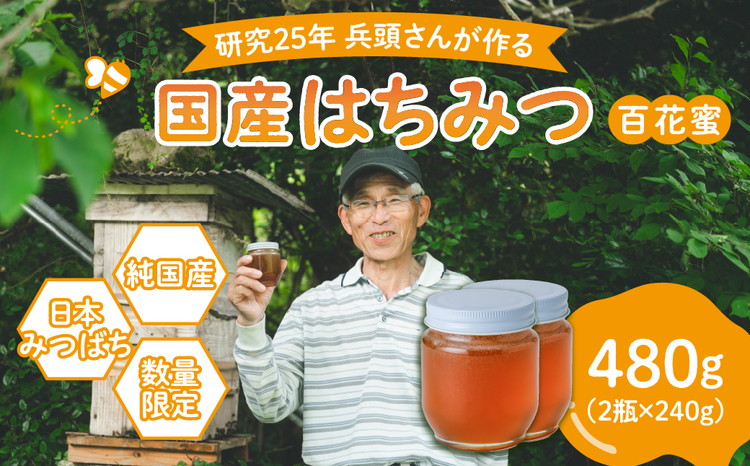兵頭さん家の国産はちみつ 2瓶（計480g 計360cc） ｜ 国産 百花蜜 蜂蜜 ハチミツ 深山ミツバチ 研究25年 日本ミツバチ ※離島への配送不可
