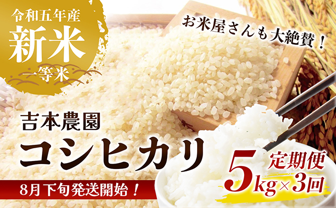 3ヶ月連続定期便【コシヒカリ5kg】お米屋さんも大絶賛の新米！