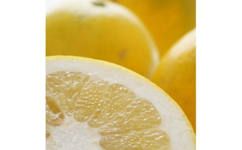 【 数量限定 】 秀品 贈答用 文旦 新女王 4kg （発送期間：2月下旬～3月中旬頃） 7000円 先行 事前 予約 受付 みかん ぶんたん 愛南ゴールド 河内晩柑 かわちばんかん 美生柑 熟成