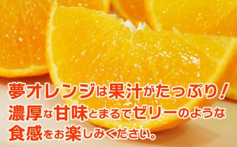 【特選品】みかん職人の夢オレンジ３kg みかん 果物 フルーツ 柑橘 くだもの 愛果28号 愛媛県 愛南町 みかん職人武田屋