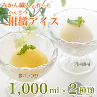 みかん職人が作った柑橘アイス1000ml×2種（夢オレンジ・河内晩柑）