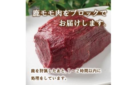 愛南ジビエ の 鹿 モモ 肉 800g （ 200g × 4パック ） シカ 冷凍 真空 パック 国産 天然 鹿肉 精肉 ジビエ肉 愛媛 愛南 赤身 焼肉 コンフィ ロースト ステーキ しょうが焼き