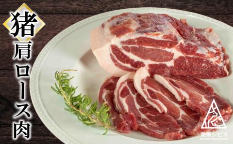 愛南 ジビエ の 猪 肉 3種 詰め合わせ 600g （ 肩ロース / モモ / ミンチ 各 200g ） イノシシ 冷凍 真空 パック 国産 天然 猪肉 挽肉 ひき肉 ジビエ肉 赤身 切り落とし