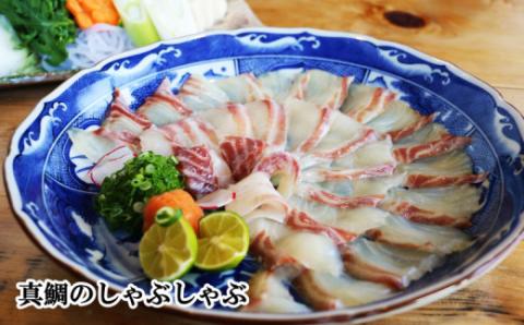 愛南 真鯛づくし 4種セット 冷凍 小分け パック 真鯛 マダイ しゃぶしゃぶ 鯛しゃぶ 刺身 さしみ お造り 唐揚げ からあげ カマ 塩焼き 鯛 タイ 鯛めし お食い初め 愛南サン・フィッシュ