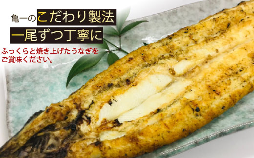 国産 うなぎ 手焼き 白焼き 2本 ( 1本 約120g / 合計 約240g ) 鰻 白焼 秘伝の タレ 山椒 付き セット うな重 ひつまぶし うな丼 わさび ギフト 贈答 贈り物 お中元 お歳暮 父の日 土用の丑の日 冷凍 老舗 お食事処 亀一 愛媛県 愛南町 高級 海鮮 魚介