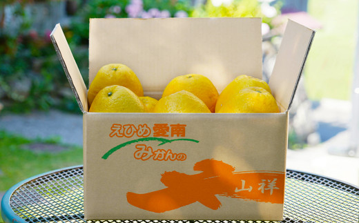 数量限定 先行予約 贈答用 河内晩柑 大玉 6kg 2Lサイズ 以上 みかん 蜜柑 かわちばんかん 愛南ゴールド 果物 フルーツ 柑橘 ゼリー ジュース ギフト 贈答 プレゼント 贈り物 ビタミン 健康 美容 みかんの山祥 愛南町 愛媛県