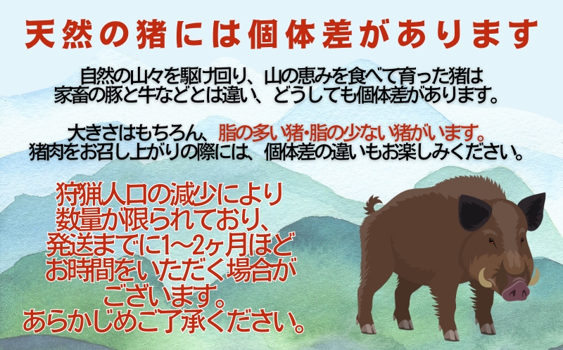 猪 スペアリブ 肉 600g （ 200g × 3パック ） 9000円 （ 5個 /  月 限定 ）イノシシ 冷凍 真空 パック 国産 天然 猪肉 精肉 ジビエ肉 カルシウム 低カロリー 肉 低脂肪 高たんぱく ヘルシー コラーゲン 愛媛県 愛南町 愛南ジビエ