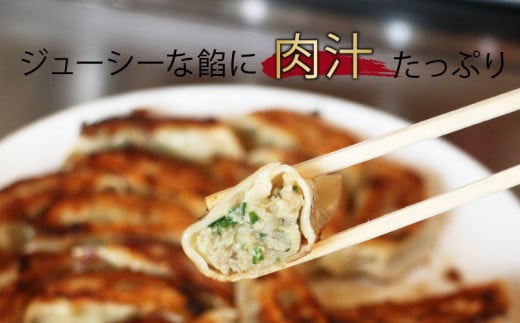 手作り 冷凍 ジャンボ 生餃子 合計約2.5kg(6個入り×12パック) 餃子 ギョウザ ギョーザ 惣菜 お好み焼き ひらの