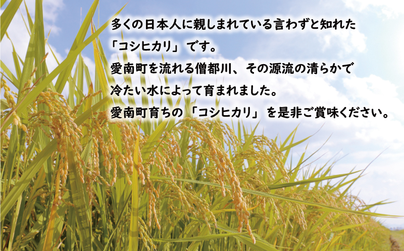 先行予約 新米 令和7年産 コシヒカリ 10kg 25000円 お米 白米 精米 米 こめ 産地直送 国産 農家直送 期間限定 数量限定 特産品 先行 事前 受付 令和7年度産 2025年産 もっちり 粘り 甘み おいしい おにぎり こしひかり 内祝い お祝い 贈答品 お返し プレゼント ギフト 土産 御礼 お礼 お取り寄せ えひめ南農業協同組合 愛南町 愛媛県 10kg