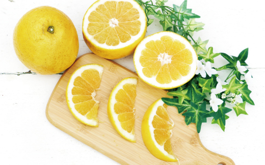 先行予約 訳あり 河内晩柑 樹齢 20年以上 9kg （ サイズおまかせ） 7000円 みかん かわちばんかん 愛南ゴールド あいなん ゴールド 美生柑 文旦 グレープフルーツ 和製 家庭用 産地直送 国産 農家直送 期間限定 数量限定 先行 受付 事前 予約 ビタミン 特産品 ゼリー ジュース 人気 限定 さわやか 甘い フルーツ 果物 柑橘 蜜柑 規格外 くらもとファーム 愛南町 愛媛県 みかん 河内晩柑 みかん 河内晩柑 みかん 河内晩柑 みかん