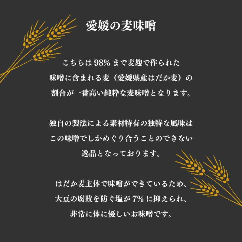純 麦みそ 吟みそ 粗ずり 700g × 4パック マルヤス味噌 愛媛県 愛南町